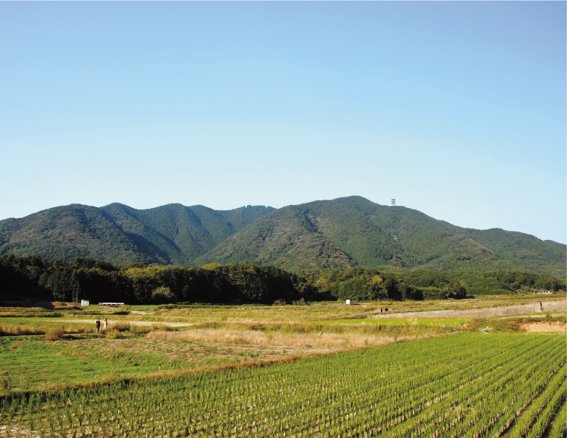 ゆったりと裾野を広げる湯川山。登山路は、承福寺からの野趣あふれるルートのほか、遊歩道と林道を登る岡垣町の成田山不動寺からのルート、見事なマテバシイ林が続く垂見峠からのルートの計3ルート。どのルートも表情豊かな湯川山の自然が満喫できます。/