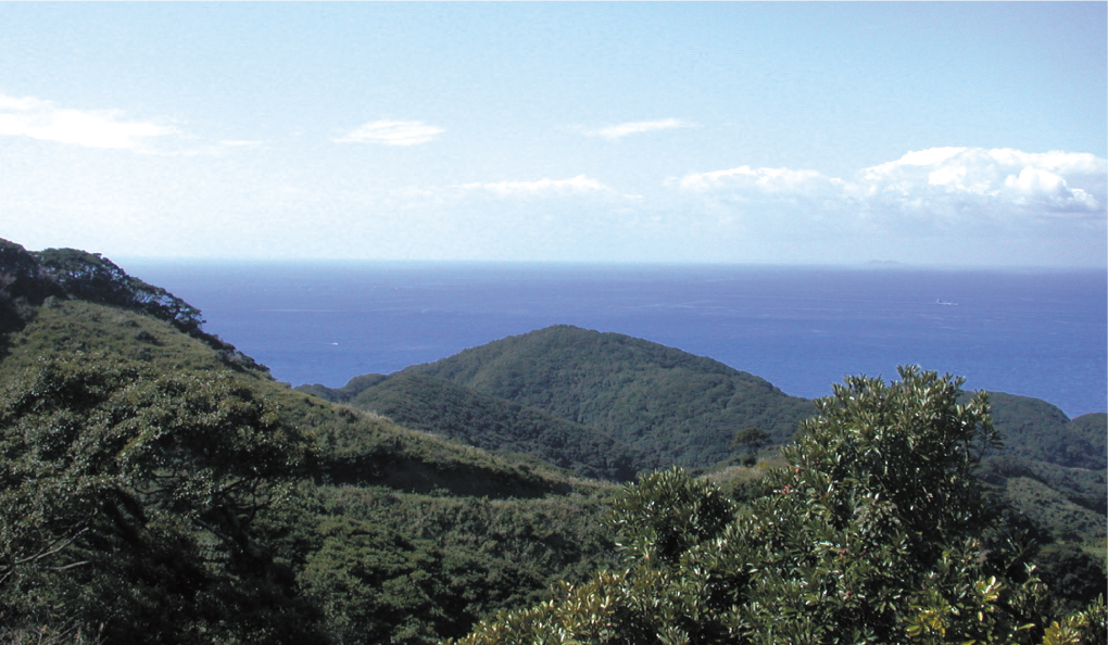 標高224ｍ。山頂からは、宗像の四塚連山から上る朝日や玄界灘に沈む夕日、満天の星空、海上に輝く漁火、そして、“玄界灘の水を汲む北斗七星”など、離島の山ならではの絶景が楽しめます。/