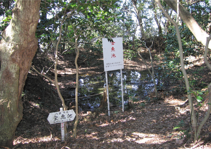 山には史跡も数多く、山頂付近には馬場跡、福津市側に少し下った場所には金魚池があります。金魚池は許斐山城の用水池跡で、かつて九州随一と言われた許斐山城の利水技術の名残を留めています。/