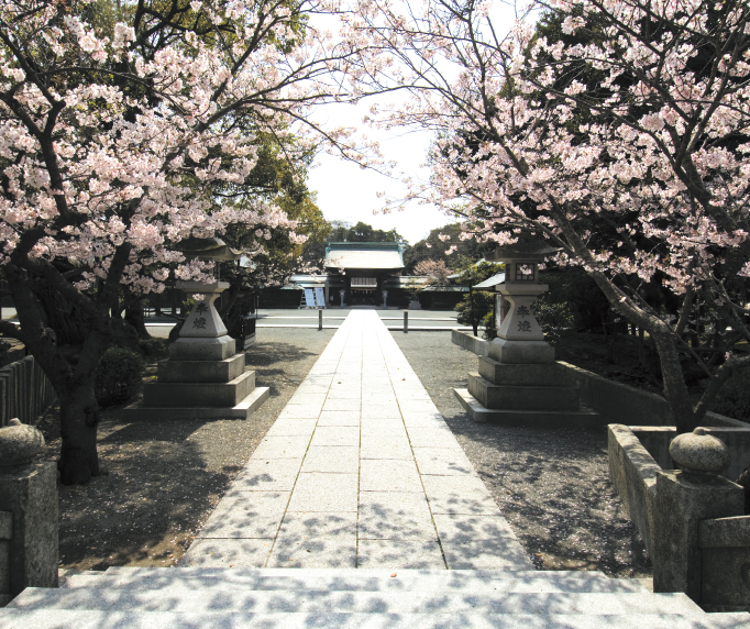 境内では、神紋にも使われている樹齢約550年の神木「楢の木」、淡黄緑色の花を付けるウコンザクラなど、さまざまな樹木を見ることができます。/
