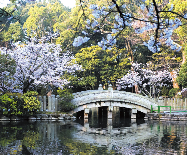 心字池と桜。/