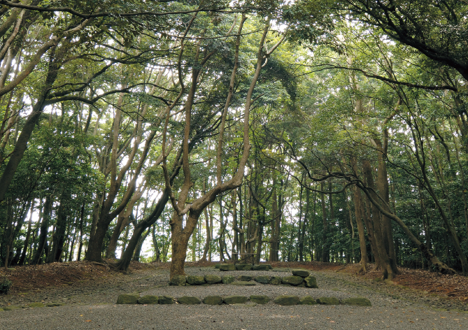 第二宮、第三宮の横から伸びる「高宮への悠久の道」を進むと、宗像大神降臨の地と伝えられる高宮祭場があります。全国でも数少ない古代祭場で、現在も古式祭祀が続けられています。/