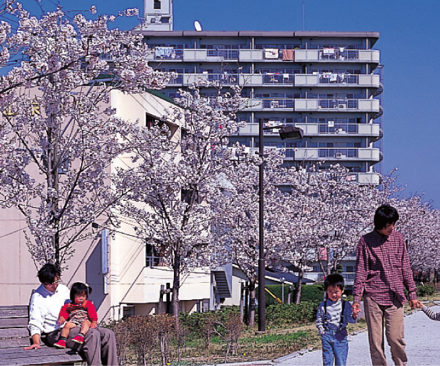 うららかな日差しのなか、散策を楽しむ人たち。/