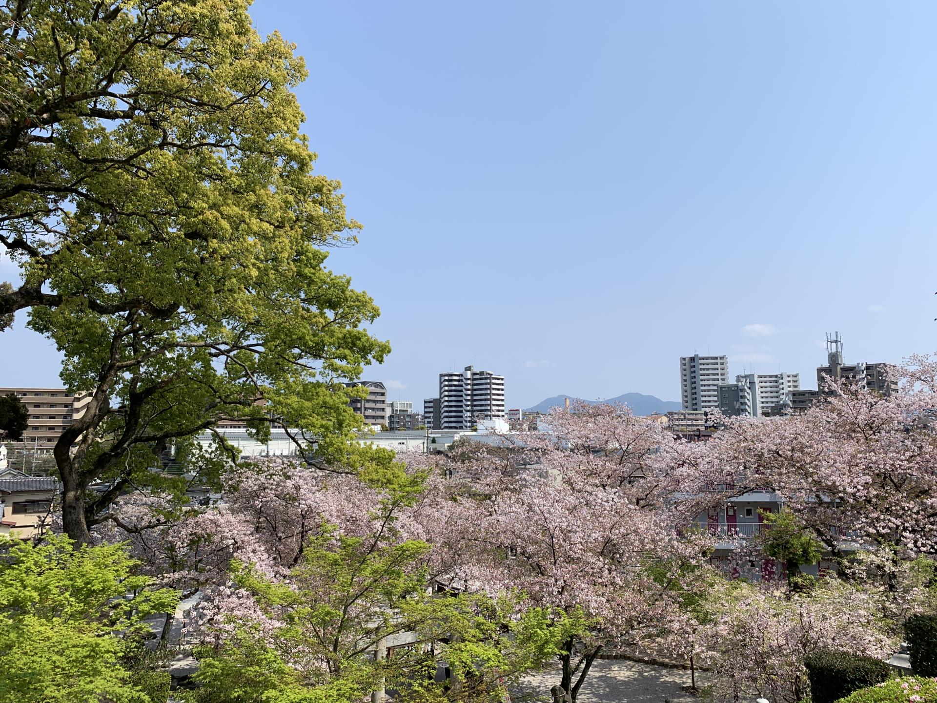 日峯神社/