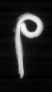 /