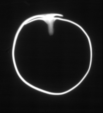 /