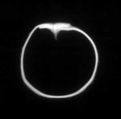 /