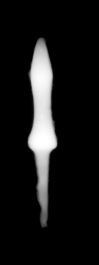 /