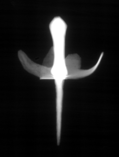 /