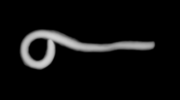 /