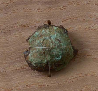 雲珠鋲頭状品残欠/