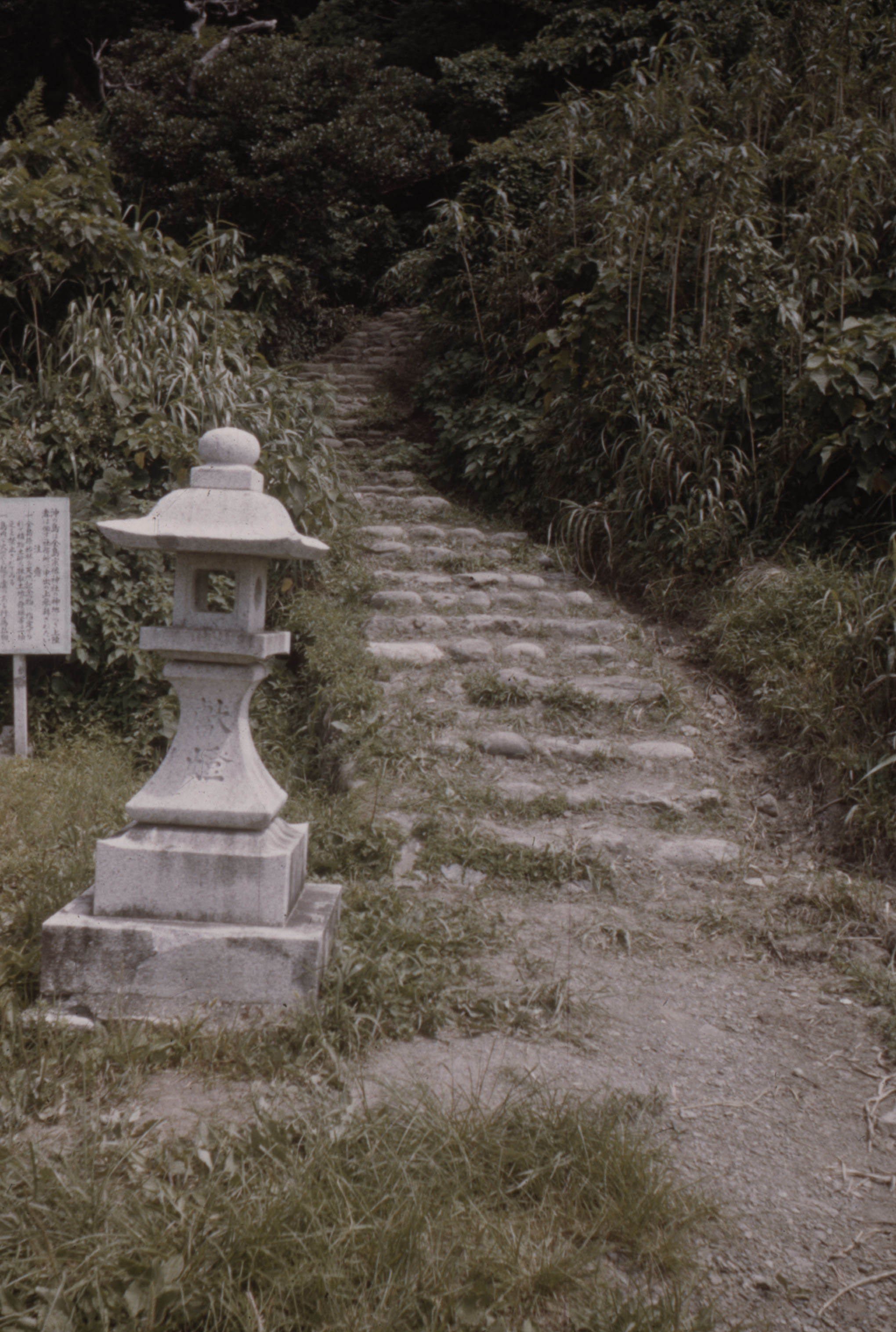 沖ノ島島内の様子/