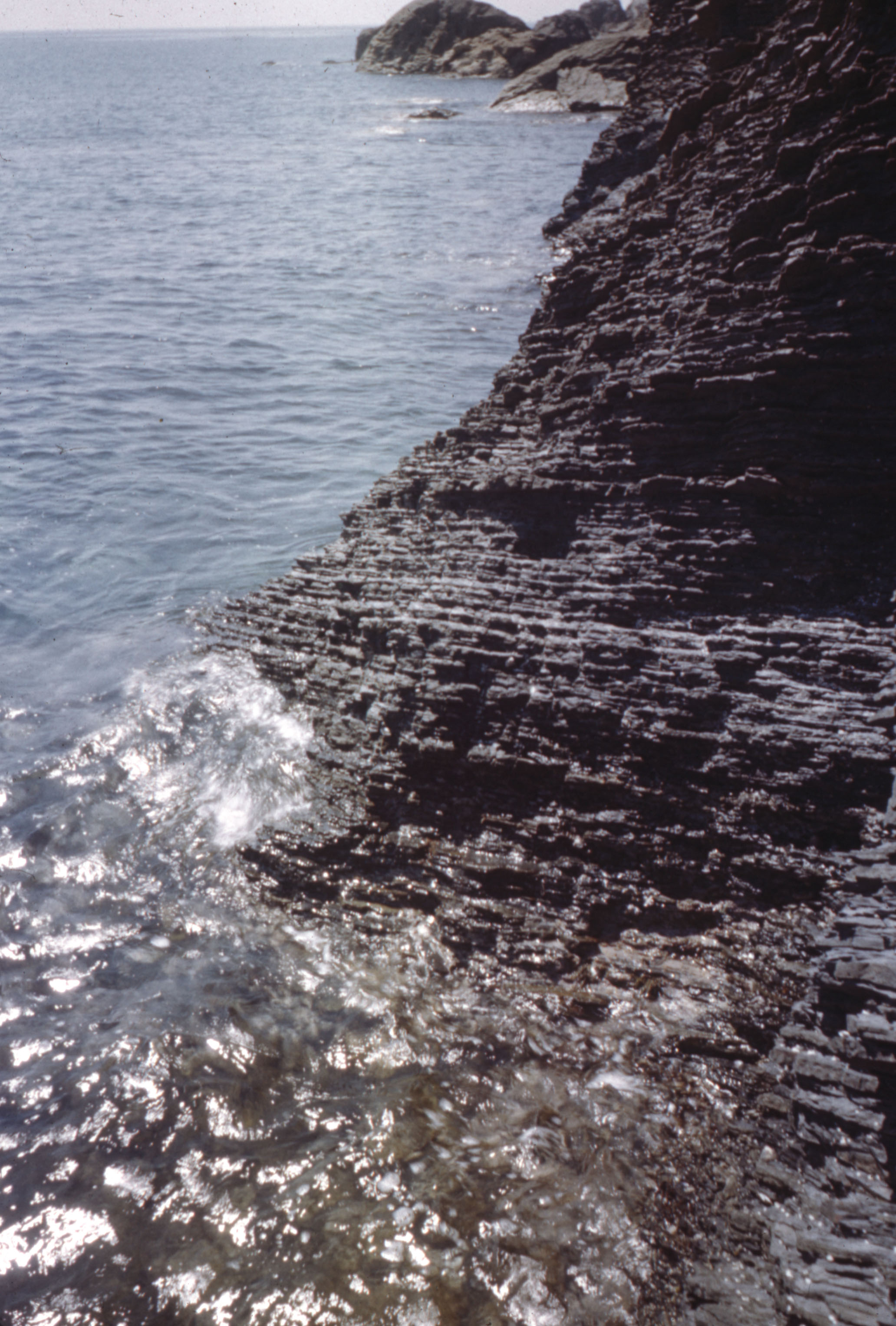 沖ノ島　自然/