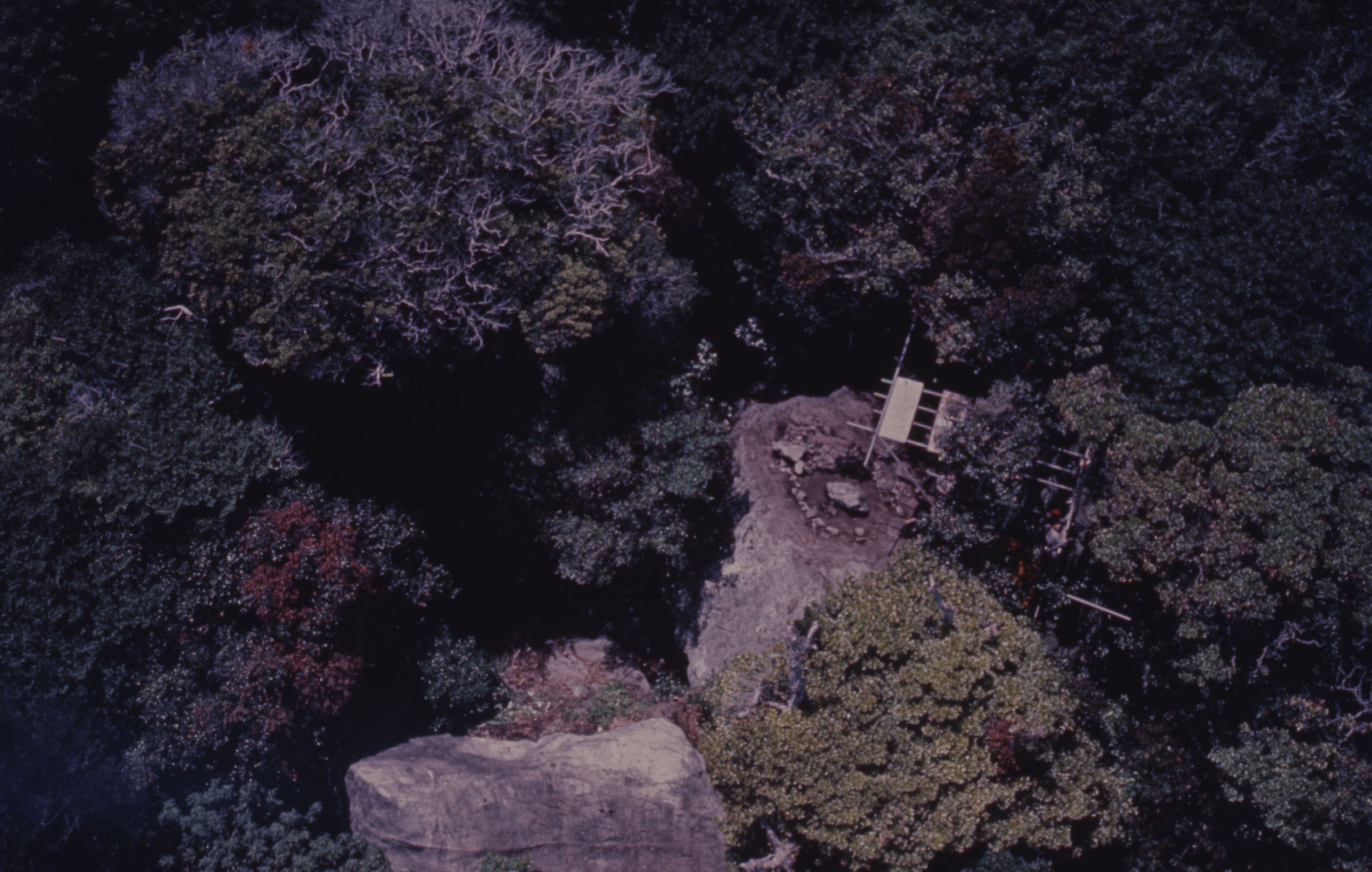 21号遺跡/