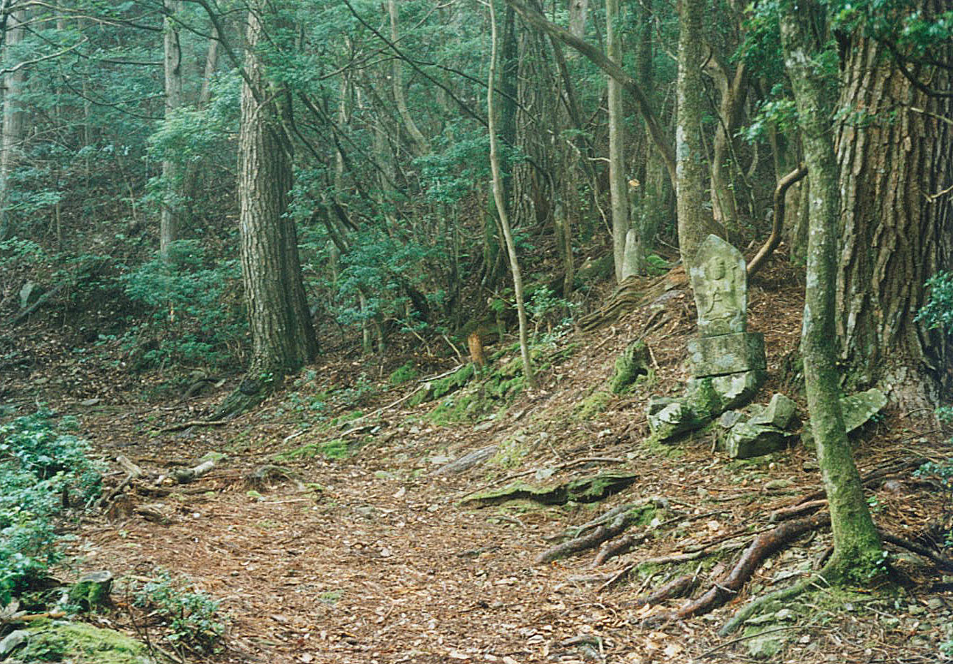 纪伊山地的灵场和参拜道/